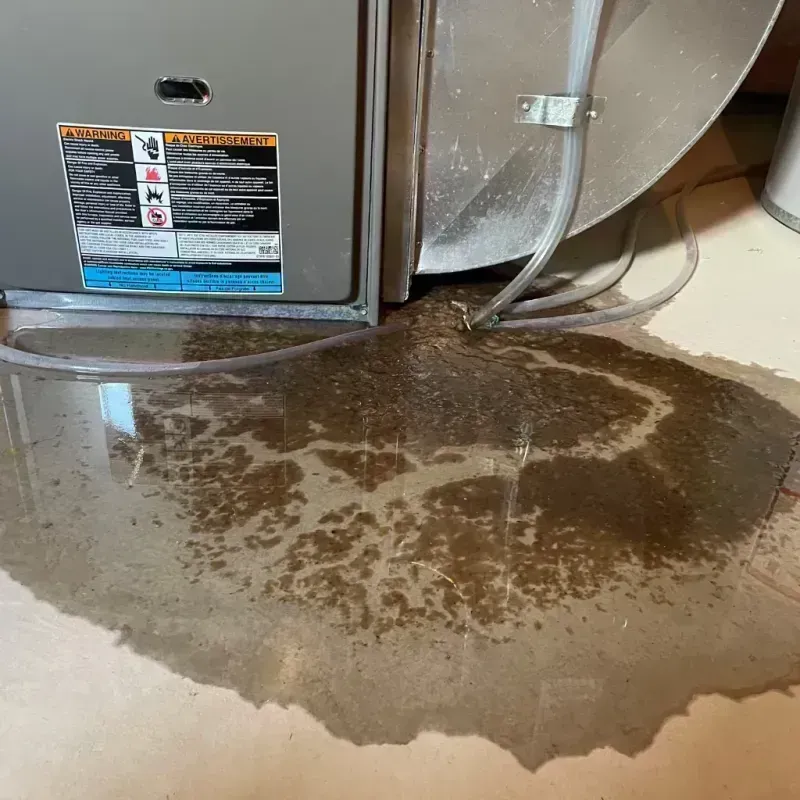 Appliance Leak Cleanup in Northfield, IL